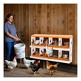 thumbnail image 4 of EastVita 8 Holes Chicken Nest Box Chicken Nesting Boxes for Laying Eggs with Ventilation Holes and AntiPeck Design Space-Saving Design Nesting Box Suitable for Hens and Ducks Orange, 4 of 7