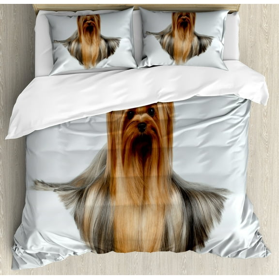 Yorkie Duvet Cover Set, Photo of Yorkshire Terrier with Groomed Hair Lying Beside It Yorkie, Decorative 3 Piece Bedding Set with 2 Pillow Shams, Calking Size, Brown White, by Ambesonne