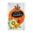 thumbnail image 2 of (2 pack) Hello Pumpkins Yard Flag 11.5in x 18in, 2 of 7