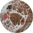 thumbnail image 2 of Addison Rugs Mayfield Washable Transitional Modern Paprika Round Rug, 8' x 8', 2 of 5