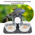 thumbnail image 4 of MYG Réservoir en ABS pour Reptiles Bol d'Alimentation en Eau et Nourriture Pot de Terrarium Boîte de Reproduction Support Plat, 4 of 10