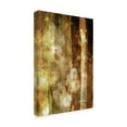 thumbnail image 2 of Trademark Fine Art 'UA CH Golden Glow II' Canvas Art by Sisa Jasper, 2 of 4