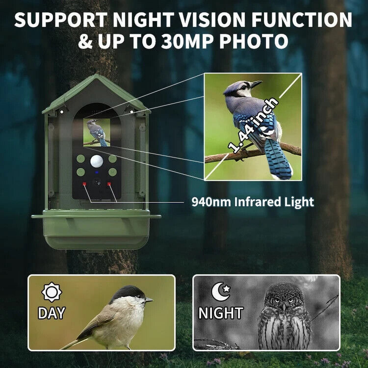 Dash ES-50W Smart Solar Bird Feeder with 1080p FHD Camera, Green