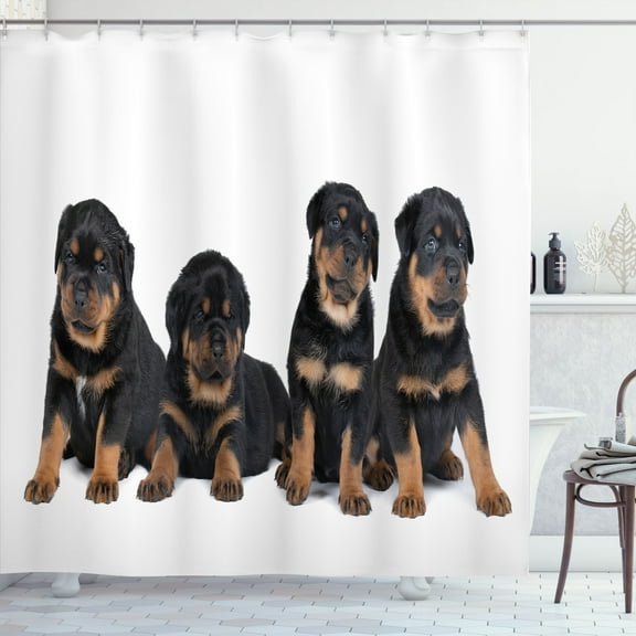 Ambesonne Funny Shower Curtain, Rottweilers Sitting Together, 69"Wx75"L, Cocoa Dark Grey and Brown