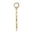 thumbnail image 4 of 14K Gold Textured Dollar Sign Charm, 4 of 4