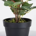thumbnail image 3 of Vickerman 21" Artificial Red Rose Plant in Pot., 3 of 5