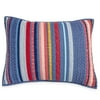 The Pioneer Woman Sham Set Barn Dance Std