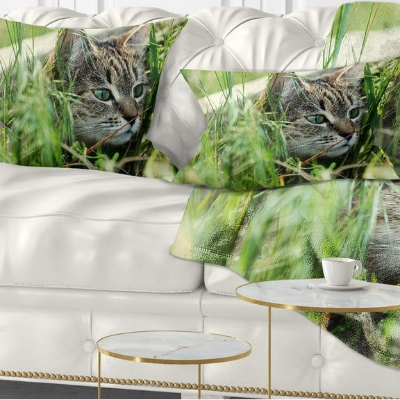 Designart Lovely Kitten in Grass - Animal Throw Pillow - 12x20