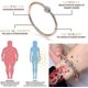 thumbnail image 5 of Style 3 1 pulsera de terapia de iones de titanio, pulsera de acero inoxidable., 5 of 5