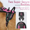 thumbnail image 4 of rabbitgoo Dog Harness  No-Pull Pet Harness with 2 Leash Clips  Adjustable Soft Padded Dog Vest  Reflective No-Choke Pet Oxford Vest with Easy Control Handle for Small Dogs  Beige  XS, 4 of 8