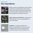 thumbnail image 4 of Stonehenge Health Dynamic Liver Supplement, 4 of 9