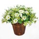 thumbnail image 5 of Farfi 1 ramo de 28 cabezas artificial falso lindo margarita flor casero boda jardín decoración Farfi 8105383, 5 of 6