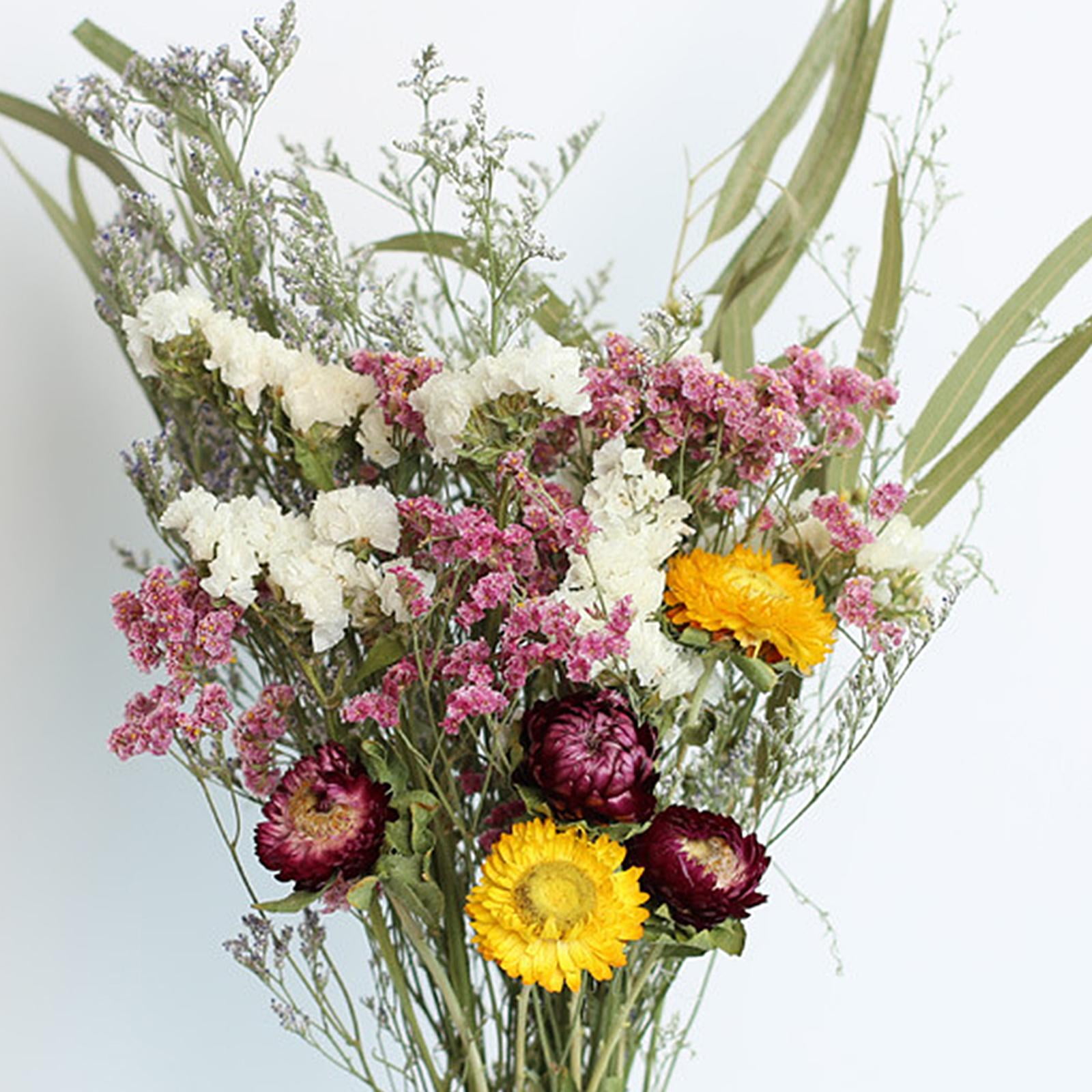 Dry Flowers & Keep Their Colour! — Botany