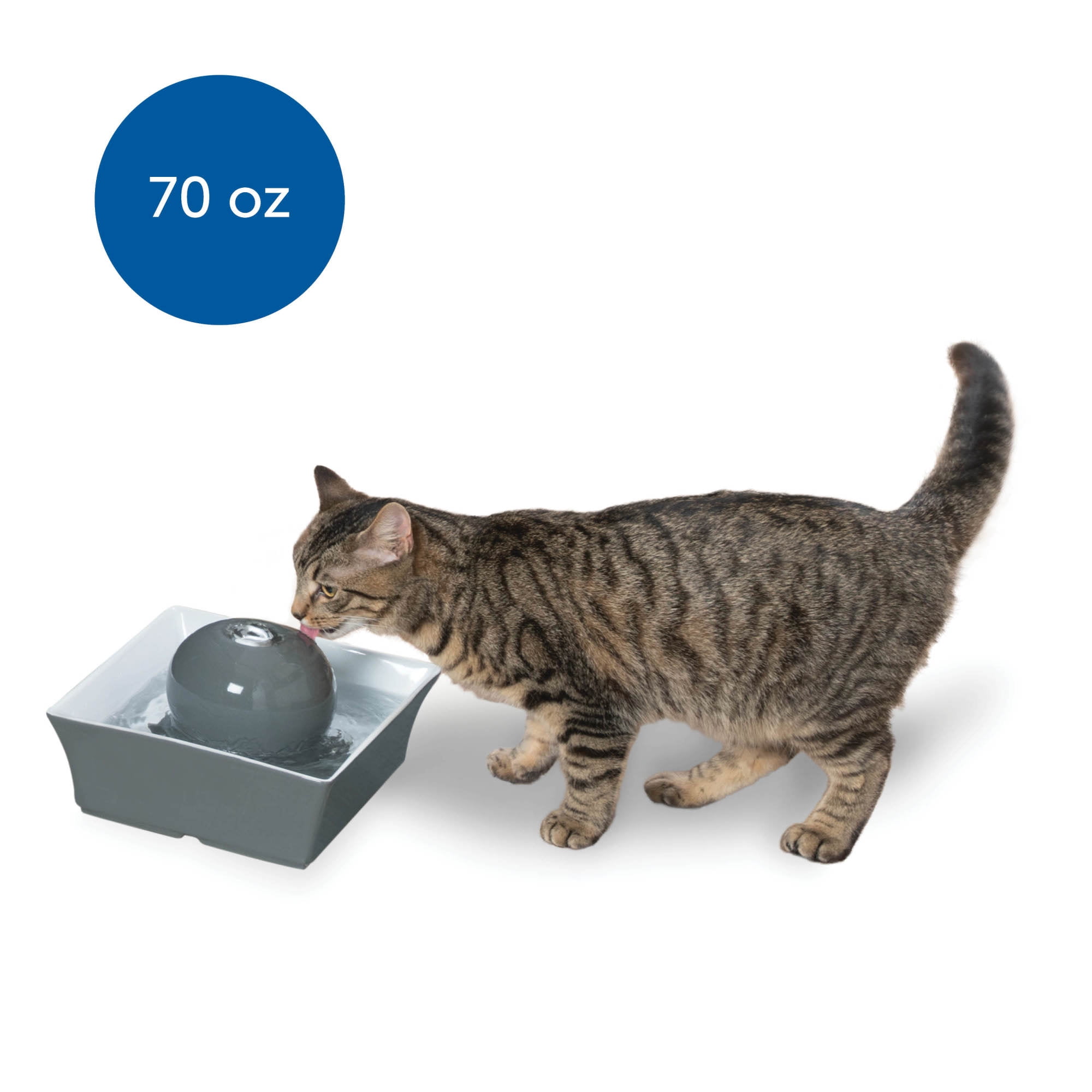 PetSafe Drinkwell Seascape Pet Fountain