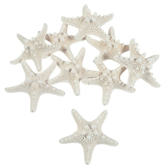 Natural Bleached Philippine Starfish, Craft Supplies, Feathers And Shells, Bulk Craft Accessories, 12 Pieces, White