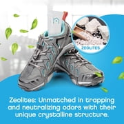 NonScents Shoe Deodorizer 2 Pack 4 Count, Odor Eliminator, Scent Remover for Shoes and Gym Bags
