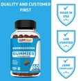 thumbnail image 5 of SUPPZAAR Ashwagandha Gummies with Vitamin D & Zinc | Vegan |Sleep, Mood & Calm Support | 60 Servings, 5 of 6
