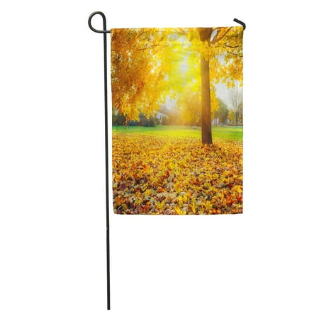 Landscaping In The Fall LADDKE Yellow Fall Colorful Foliage in The Autumn Park Orange Landscape Garden Flag Decorative Flag House Banner 28x40 inch ()