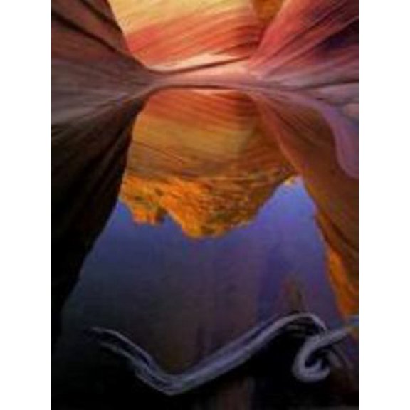 Pre-Owned Stone Canyons of the Colorado Plateau (Hardcover) 0810944685 9780810944688
