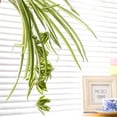 thumbnail image 6 of Morttic 2 Pack Artificial Flowers Spider Plants Fake Silk Plant Faux Greenery Artificial Plants for Home Wall Indoor Outdside, Green, 6 of 6