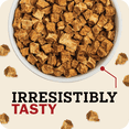 thumbnail image 4 of Redbarn Powerfood Air Dried Dog Food - 96% Chicken & Chicken Organs - High Protein Grain-Free Non-GMO Premium Dry Full Feed or Topper Made in USA with Omega 3 Salmon Oil Flaxseed - 2lb, 4 of 9