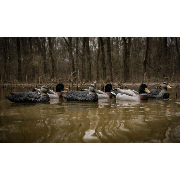 Higdon Battleship Powers Pack FF Flocked Head 3MD/3BD (Pk/6)