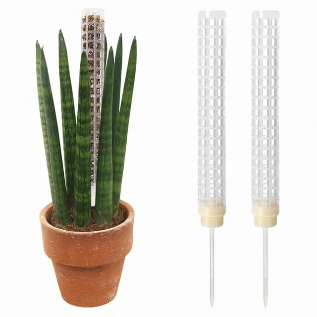 Etiqueta para planta: Poste de plástico para musgo Monstera, postes para plantas trepadoras, soporte para plantas de interior, funciona con musgo Sphagnum (botella)