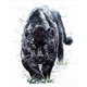 thumbnail image 3 of Cuadros Decorativos 5D Diamond Painting Animal Full Square Rhinestone DIY Wall Art Decoraciones para el hogar Ehuebsd Nuevos Originales, 3 of 9