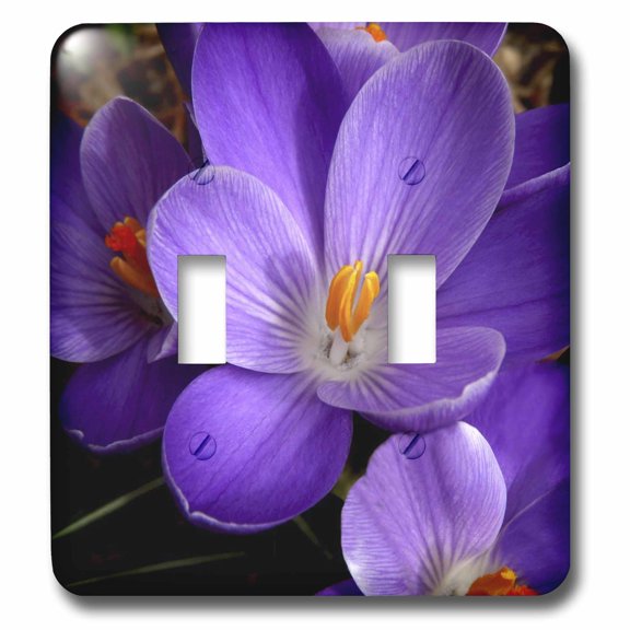 3dRose, Purple Flower, double toggle switch
