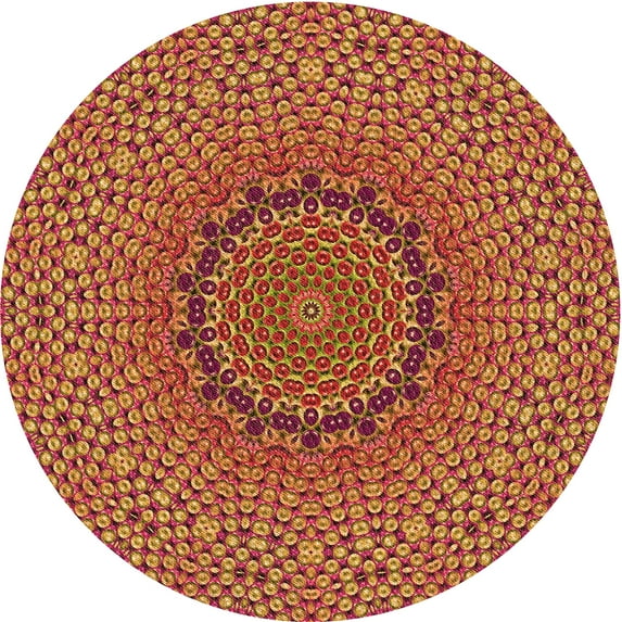 Ahgly Company Indoor Round Patterned Carrot Orange Area Rugs, 3' Round