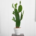 thumbnail image 3 of Nearly Natural 27" Plastic/Polyester Cactus Artificial Plant, Green, 3 of 4