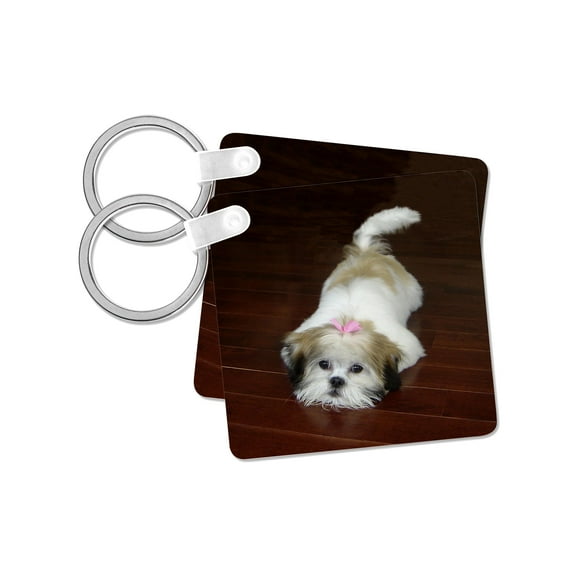 3dRose, Lhasa Apsos, set of 2 Key Chains