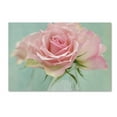 thumbnail image 2 of Trademark Fine Art 'Pink Roses' Canvas Art by Cora Niele, 2 of 4