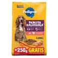 thumbnail image 1 of Alimento seco para perro Pedigree Pancita Saludable 2 Kg + 250g para adulto, 1 of 4