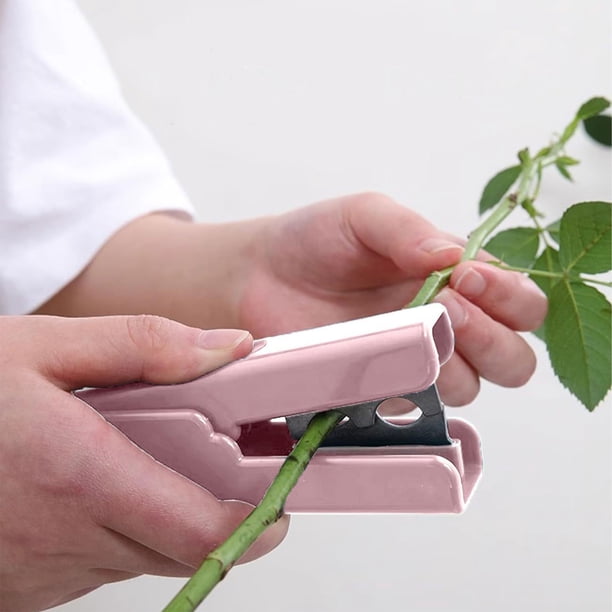 Pinzas para Rosas, Herramienta para Quitar Espinas de Hojas Secas, Herramienta Floral, Pinzas para Pinchar Hojas, 2 Piezas