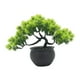thumbnail image 5 of bonsái artificial, plantas de imitación, adornos de plantas realistas para el hogar, planta en maceta Artificial para decoración de estantería Verde, 5 of 8