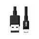 Eaton Tripp Lite Series Lightning USB -A to Sync/Charge Cable, MFi Certified - Black, M/M, 10 in. (0.25 M) - Câble Lightning - Lightning Mâle vers USB Mâle - 10 Po - Noir – image 1 sur 5
