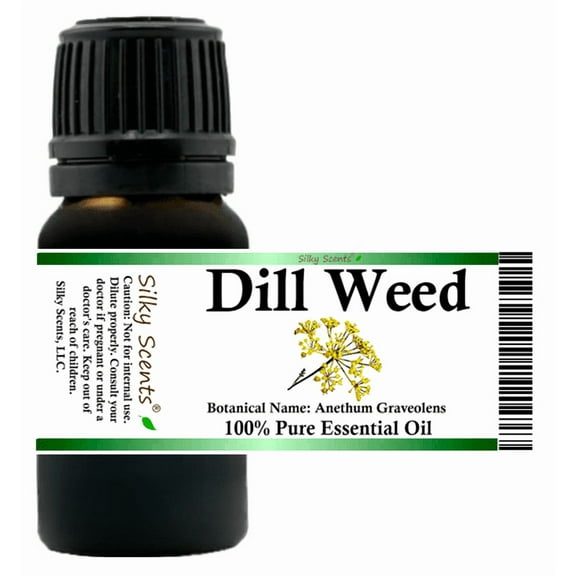 Dill Weed Essential Oil 5 ml (1/6 fl oz) - 100% Pure and Natural by Silky Scents