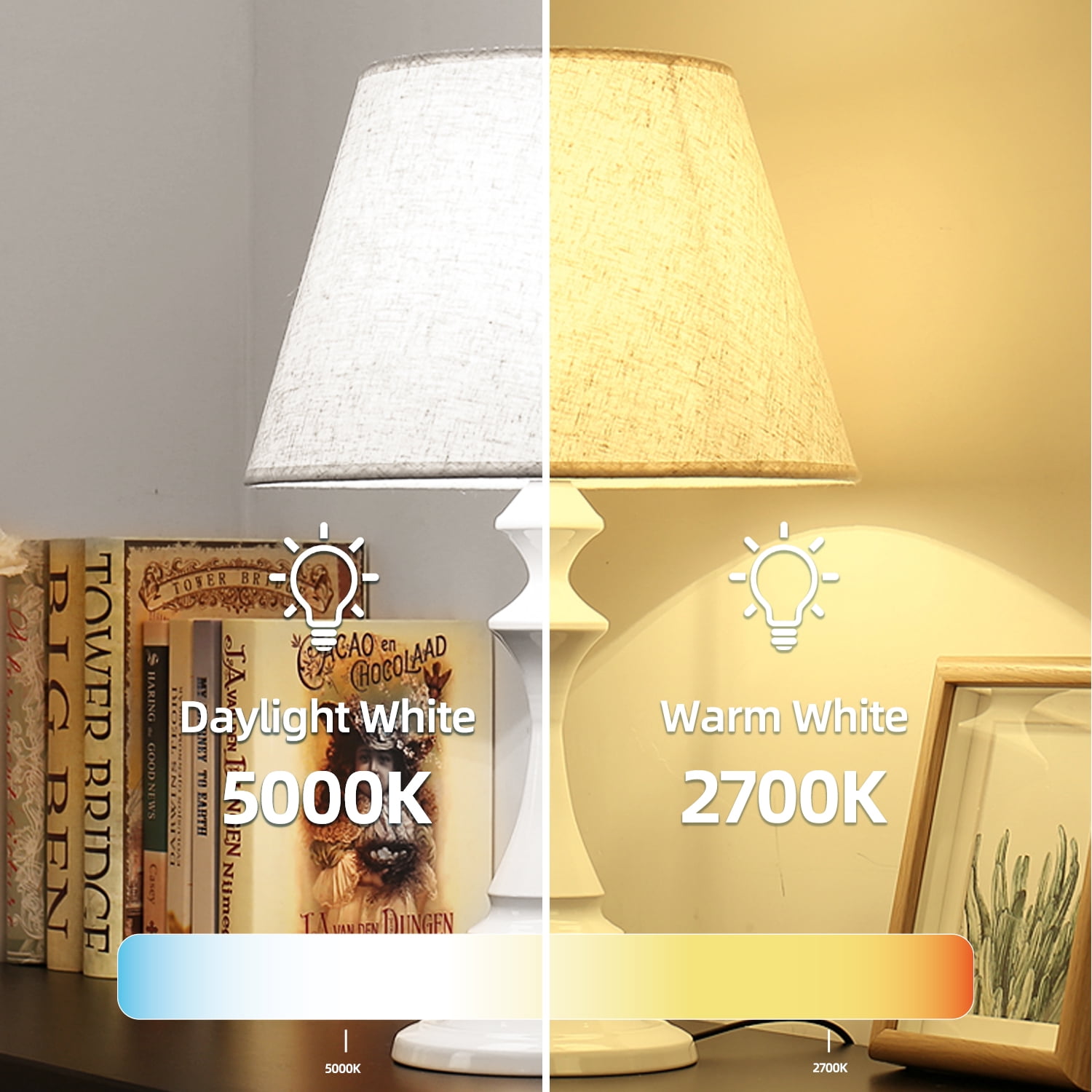 TJOY A19 LED Light Bulbs, 100W Equivalent,5000K Daylight, 15W 1500 Lumens,E26 Standard Base,UL Listed,Lighting for Bedroom Living Room Home Office,24 Pack.