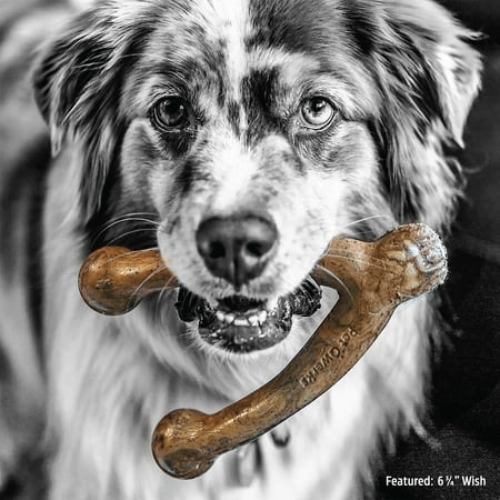 Pet Qwerks BarkBone Natural Instincts Bacon Infused Wishbone Nylon Bone Dog Chew Toys for Aggressive Chewers - Real Bacon, Medium