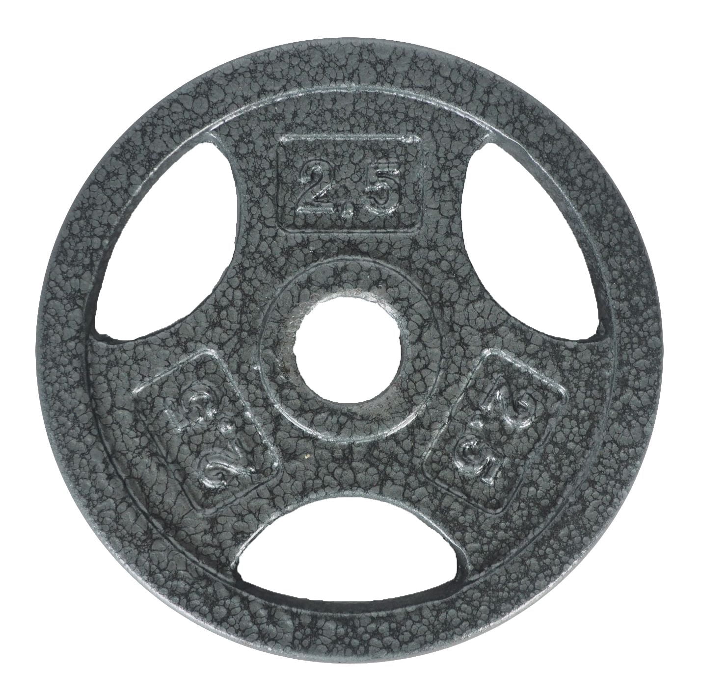 Disque de musculation avec prises GoZone – Argent