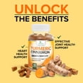 thumbnail image 6 of Turmeric Curcumin Supplement Gummies - 95% Curcuminoids with Turmeric Ginger, Black Pepper for Best Absorption, Nature's Vegan Joint Support, Non-GMO, Gluten Free, Tasty Cinnamon Flavor - 120 Gummies, 6 of 10