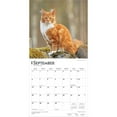 thumbnail image 4 of Maine Coon Cats | 2026 12x24" (Hanging) Wall Calendar | Plastic-Free | BrownTrout, 4 of 9