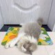 thumbnail image 1 of Alfombrillas de Baño Antideslizantes para Cocina, Alfombrilla de Baño Gruesa Y Absorbente Fuerte, Alfombrilla para Bañera de Diatomeas, Alfombrilla La Flor BLESIY alfombra de baño, 1 of 8