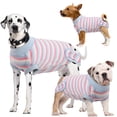 thumbnail image 3 of Kuoser Dog Onesie Surgical Recovery Suit for Dogs Cats,Pink,XS, 3 of 8
