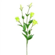 Teters Floral Green Silk Lisianthus