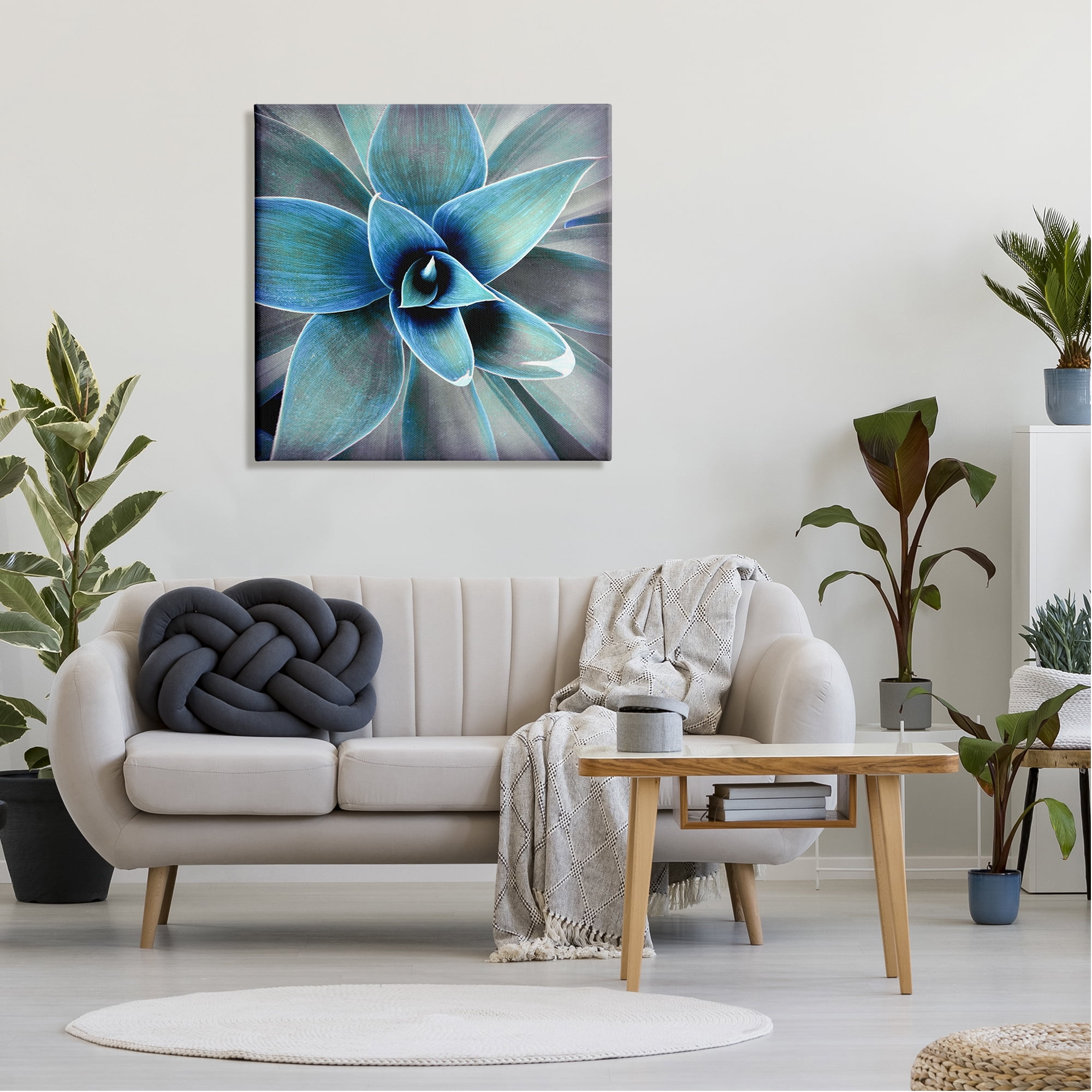 Stupell Modern Close Up Plant Leaves Botanical & Floral Photography Gallery Wrapped Canvas Print Wall Art