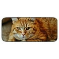 thumbnail image 2 of Qinduosi Orange Cat Portrait Doormat, Home Decor, Welcome Mat, Funny Doormat, Front Door Mat, Welcome Doormat,Indoor Doormat,Front Back Door Mat 19.68*47.24 in, 2 of 6