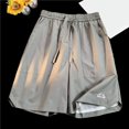 thumbnail image 2 of Men's Summer Mesh Breathable 5 - Inch Shorts, Loose Fit, Lightweight for Sports and Leisure, 2 of 3