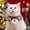 Christmas 2 2pcs, variant on Cat Cosplay Dress Up Pet Hat Lion Mane for Cat Puppy Lion Wig Costume Party Decoration Halloween Christmas GatosPet Supplies